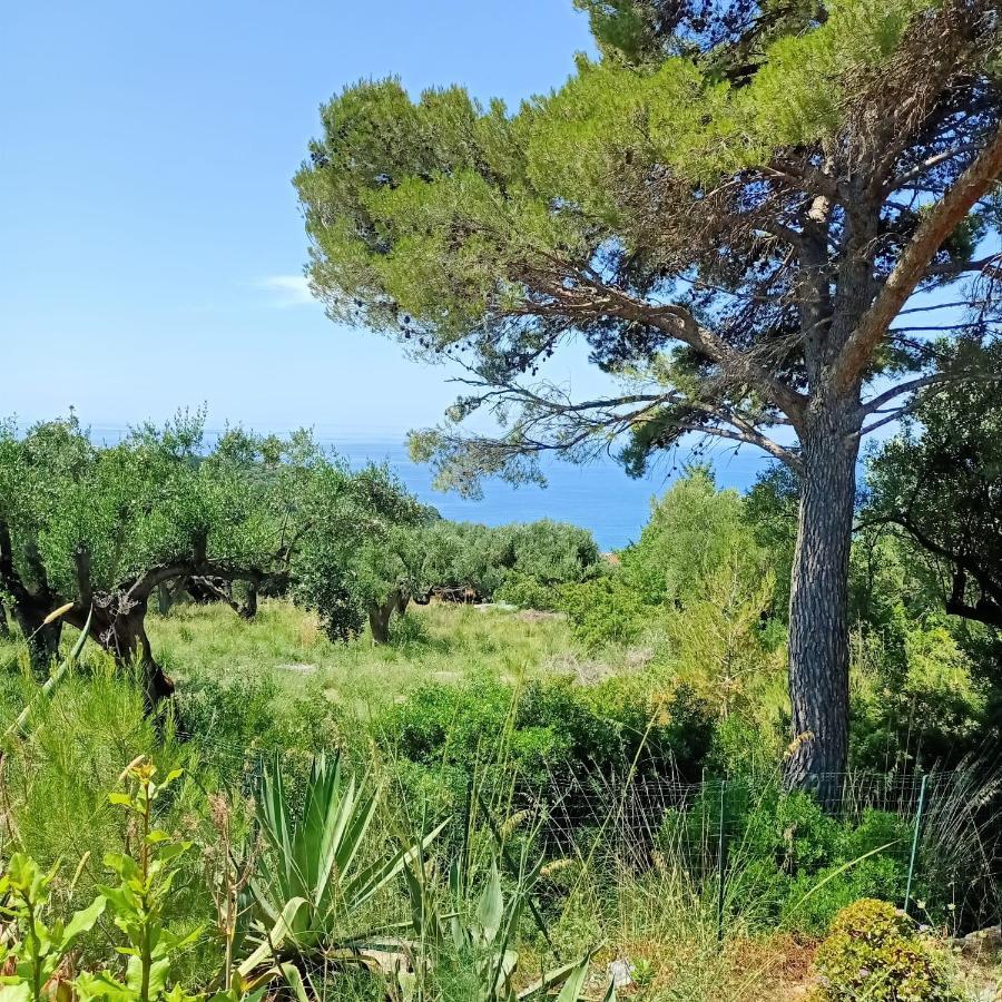 Tarohouse Marina di Camerota Esterno foto
