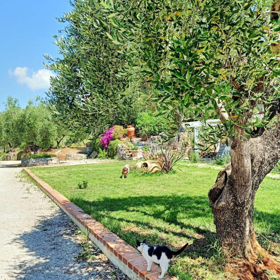 Tarohouse Marina di Camerota Esterno foto