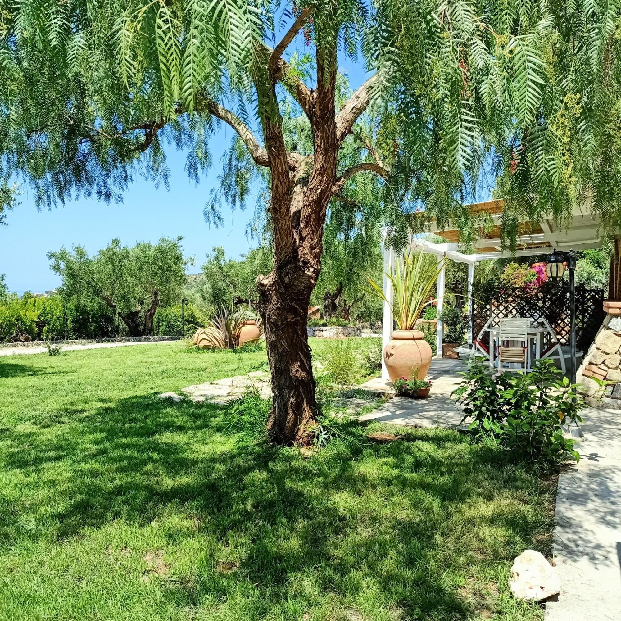 Tarohouse Marina di Camerota Esterno foto